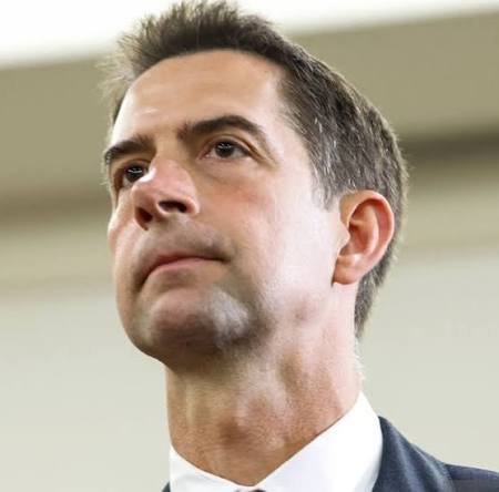 Tom Cotton net worth